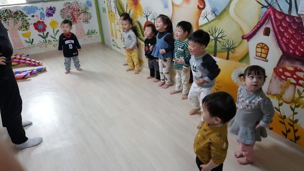 킹콩플라워 이미지