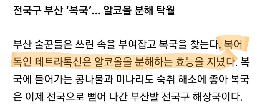 부산 술꾼들만의 해장비법 | 인스티즈