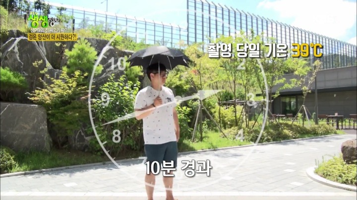 검은 양산이 더 시원하다? | 인스티즈
