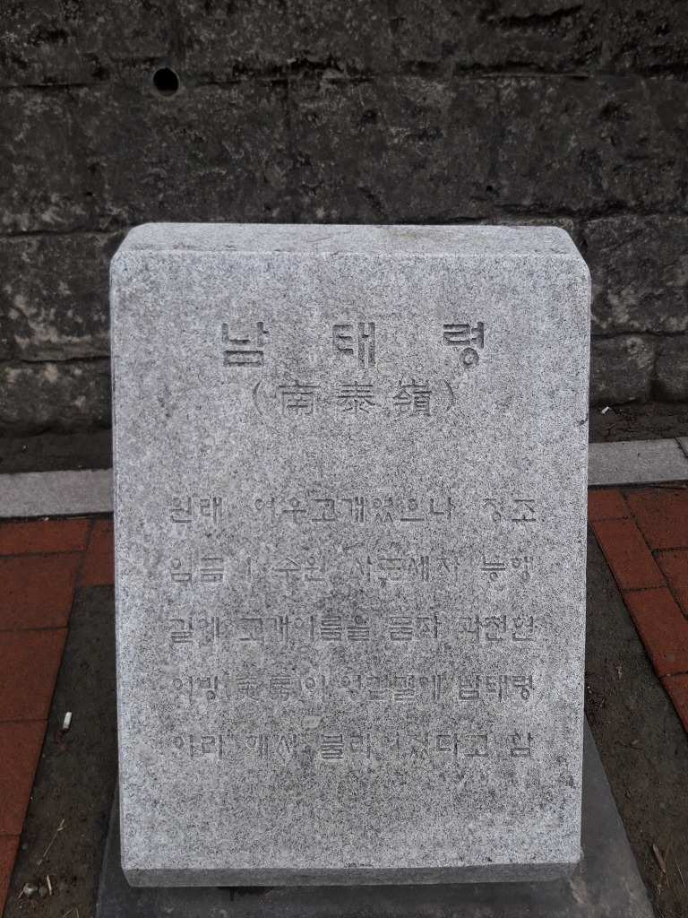 목련차관 이미지