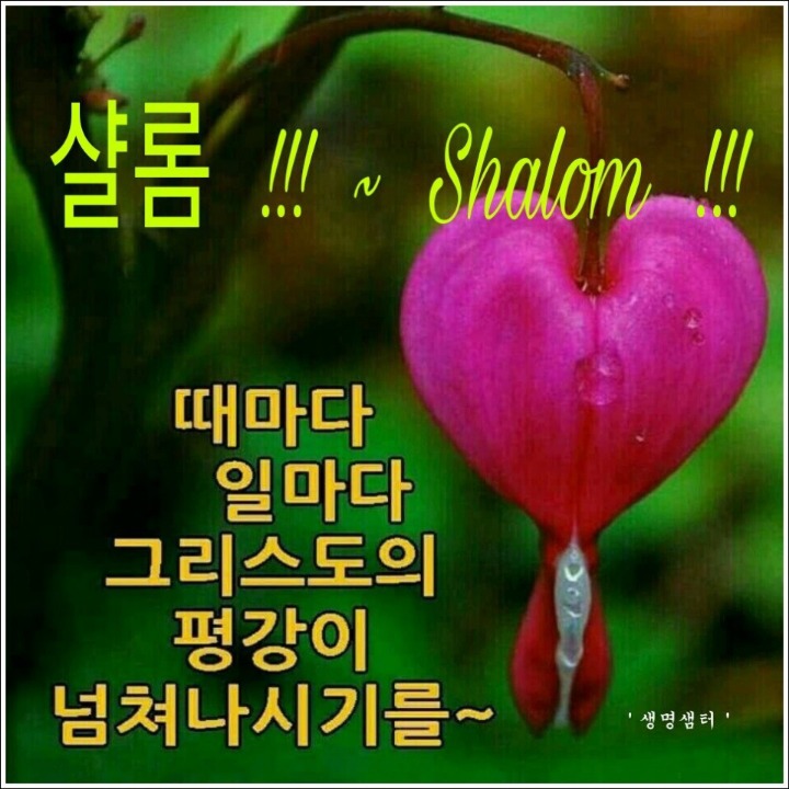 무감각 이미지