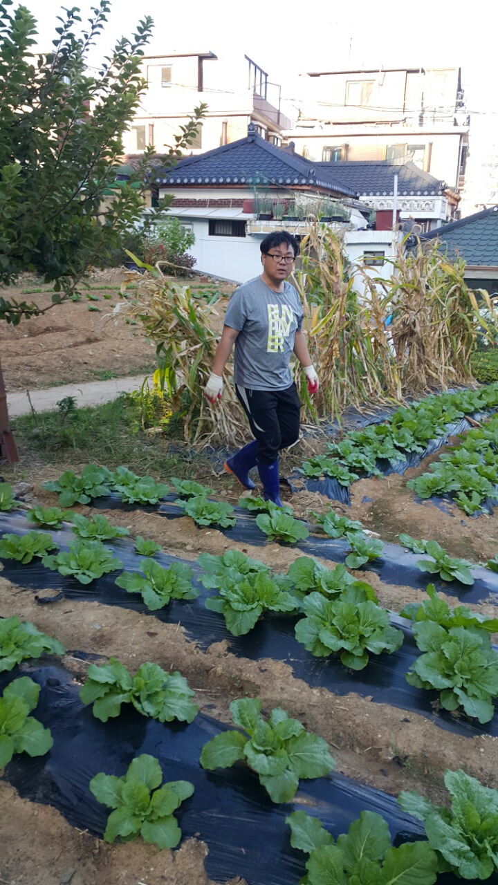 영광농약종묘사 이미지