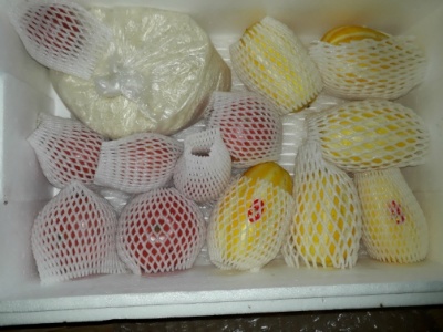 얼린토마토 이미지