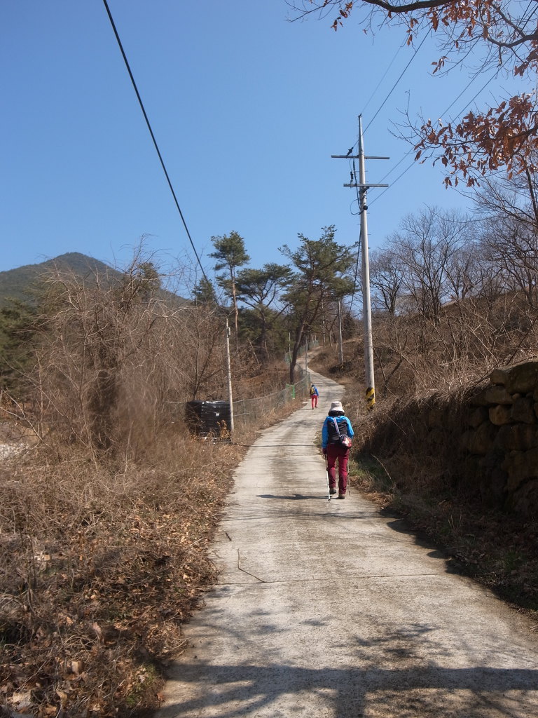단산집 이미지