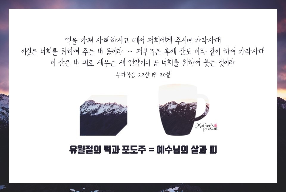법인백성 이미지