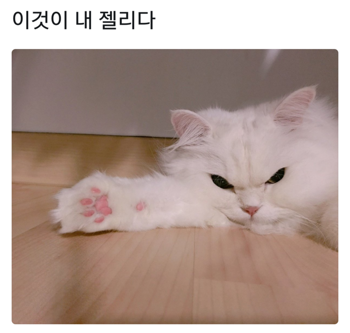 이것을 보아라 | 인스티즈