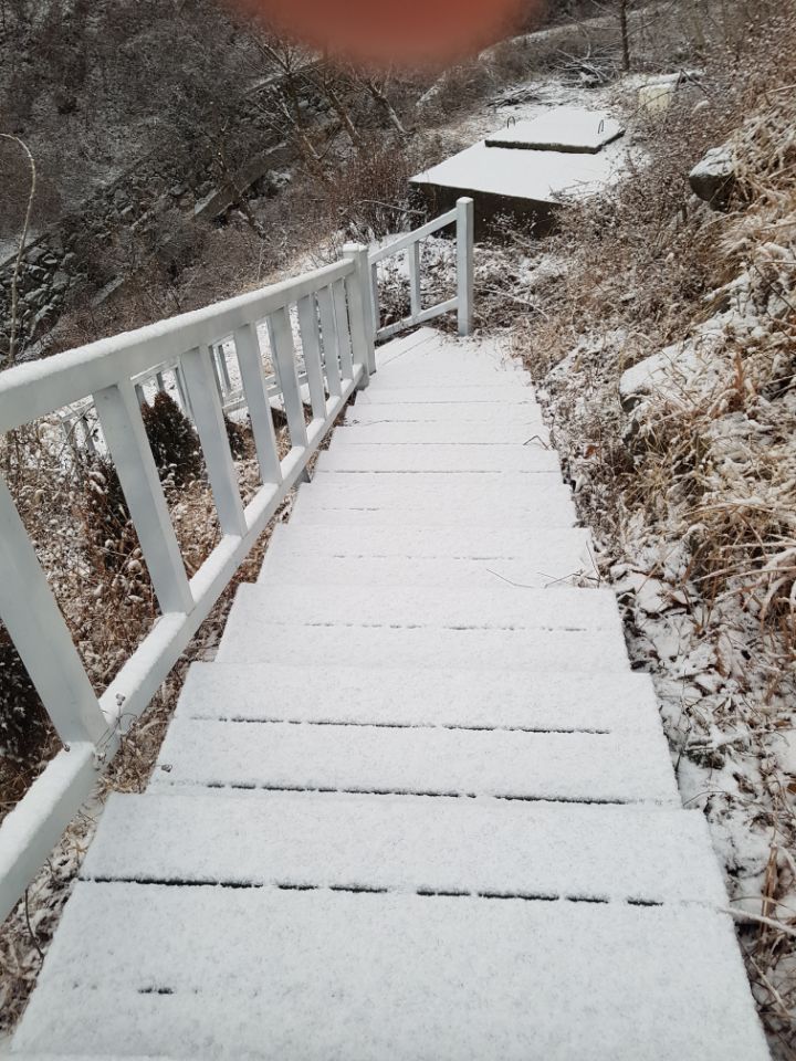 소담채 이미지