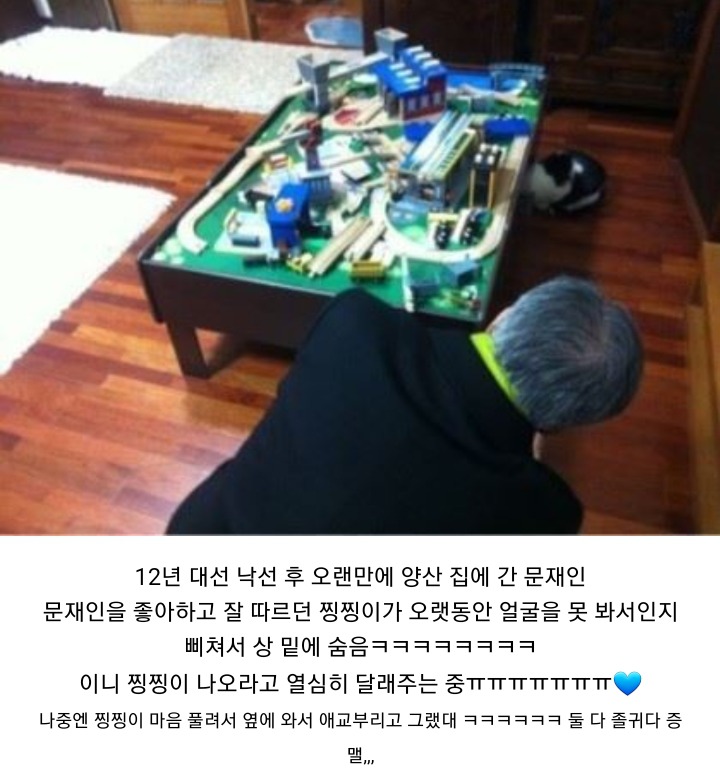 자연과 모든 동식물을 사랑하시는 문재인 대통령 일화 | 인스티즈
