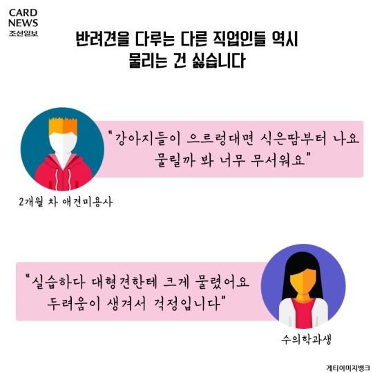 개통령 강형욱이 말하는 입마개 | 인스티즈