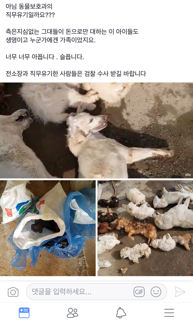 죄없는 동물들이 죽었어 서명 한번씩만 하고 가자 익산시 함라보호소 청원 | 인스티즈