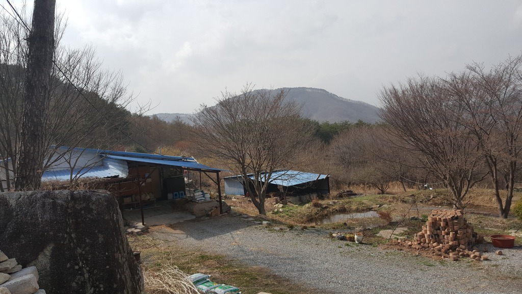 영월엘지 이미지