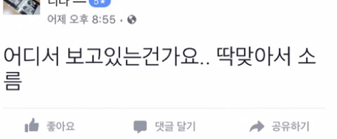 요즘 소름돋는다고 난리난 타로챗봇 | 인스티즈