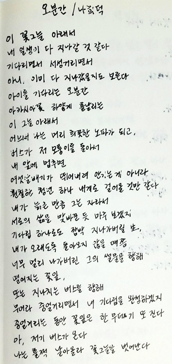 오분 이미지