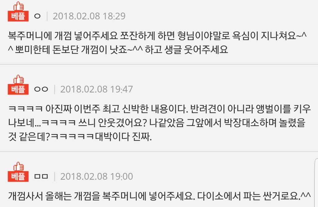 반려견에게도 세뱃돈을 줘야하나요? | 인스티즈