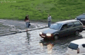 저희 동네에 홍수가 났어요.gif | 인스티즈