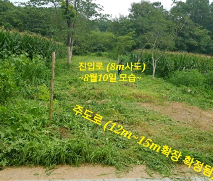 도심속에 전원 이미지