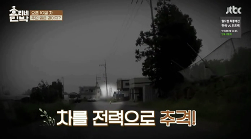 [효리네민박] 길에서 만난 강아지. jpgif | 인스티즈