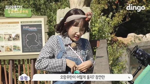 오랑우탄 만난 최유정ㅋㅋ.jpgif | 인스티즈