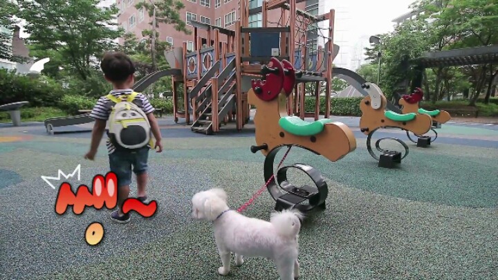 댕댕이 한테 미안해서 미끄럼틀 타러 못가는 대박이 ㅋㅋㅋJPG | 인스티즈