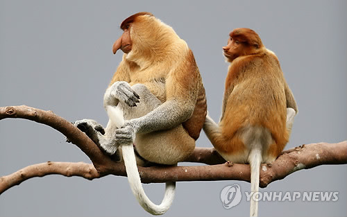 (주)코아시아 이미지