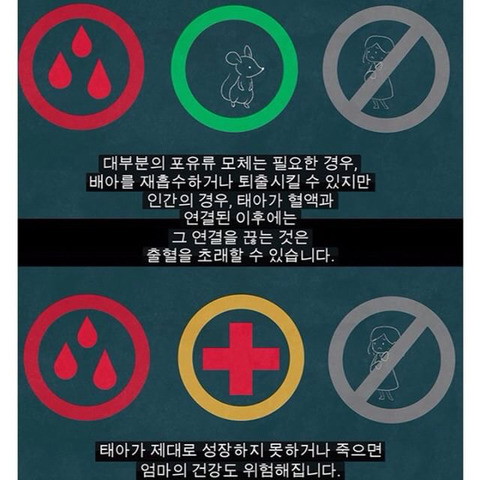 생리는 임신과 출산을 준비하기 위해 하는 것이다 | 인스티즈