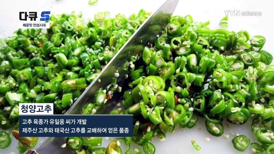 먹을 때마다 외국에 돈 줘야 하는 의외의 식품 | 인스티즈