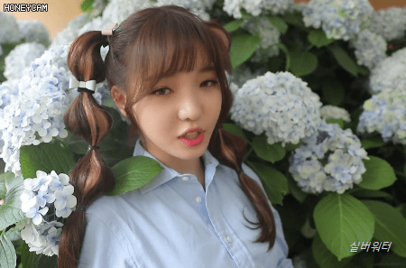 [프로미스나인] 투표날이라 두근두근해서 프로미스나인(2) | 인스티즈