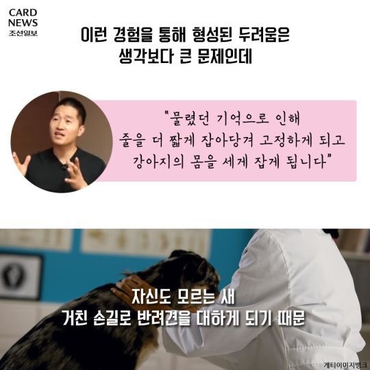개통령 강형욱이 말하는 입마개 | 인스티즈