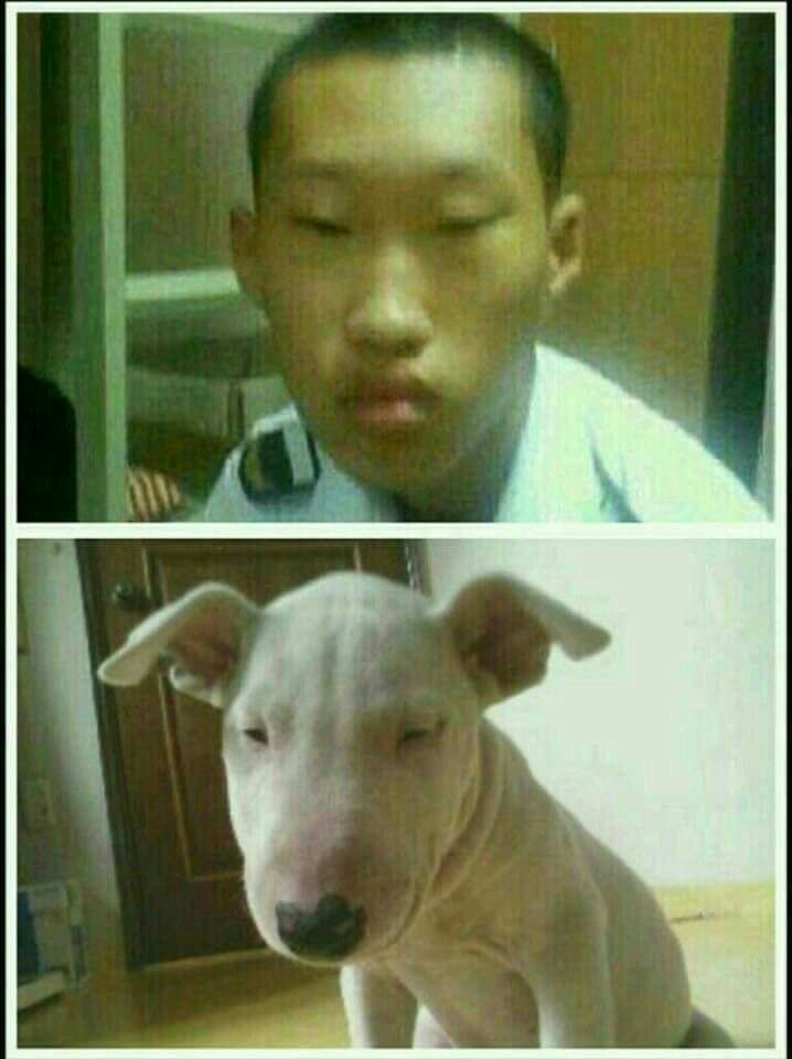 끼리끼리 이미지