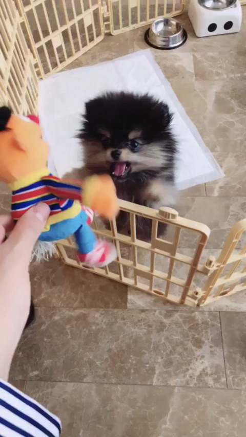 [고르기] 생리할 때 식욕 vs 성욕 | 인스티즈