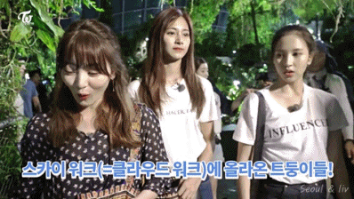 높은곳 올라간 트와이스 멤버들 반응 gif | 인스티즈