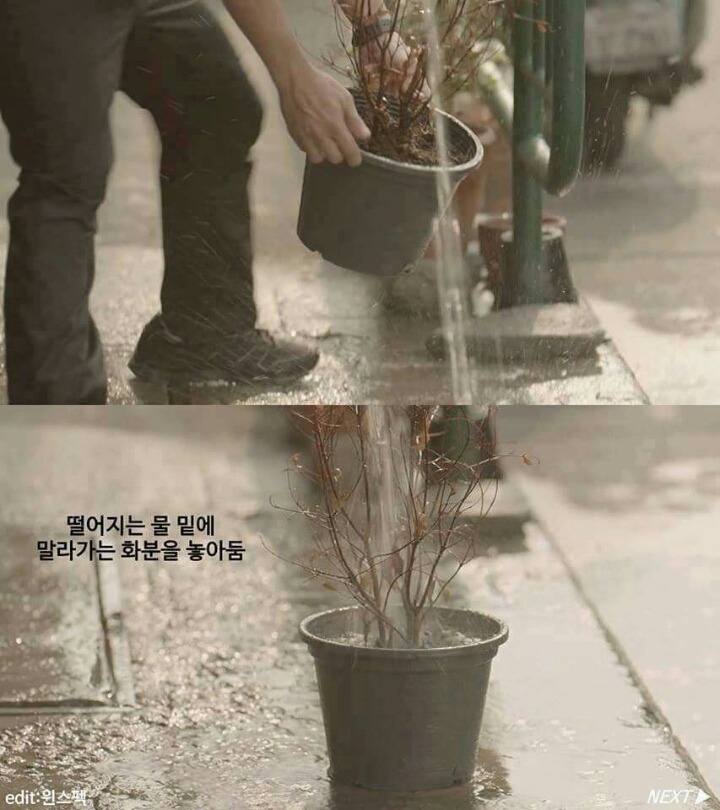 전세계를 울린 태국의 공익광고 | 인스티즈