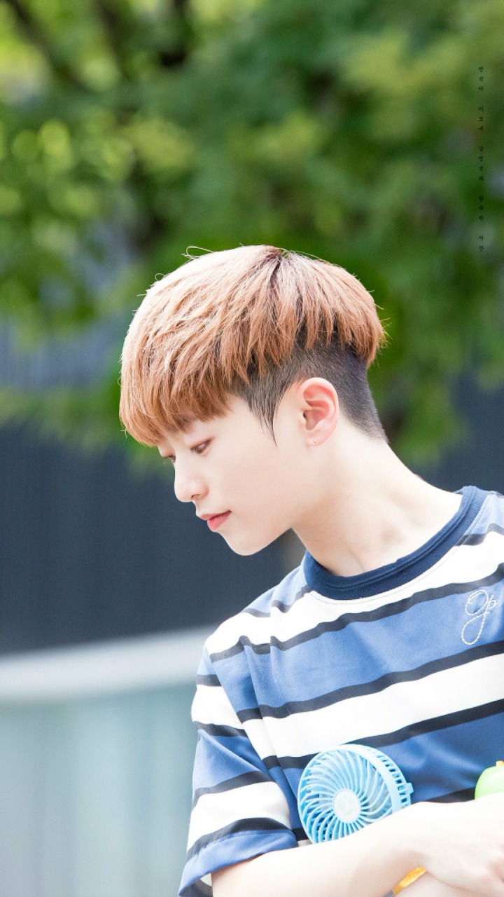라운 이미지