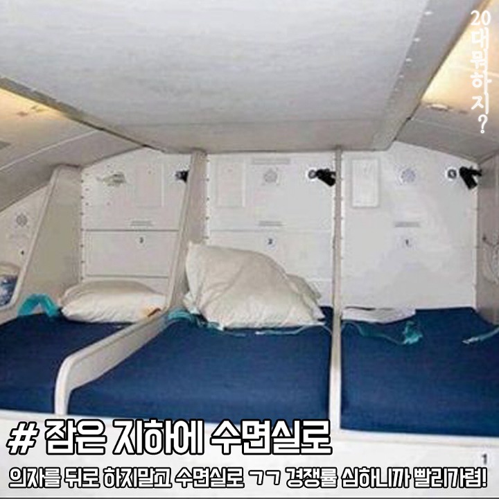 비행기 처음타는 분들이 알아야할 비행기에티켓 | 인스티즈