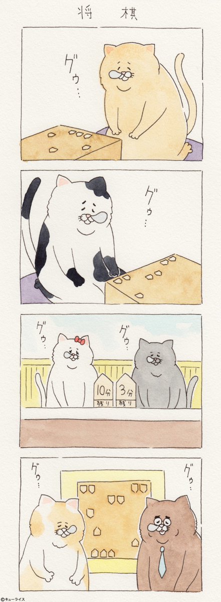 유감스러운 고양이 -2- | 인스티즈