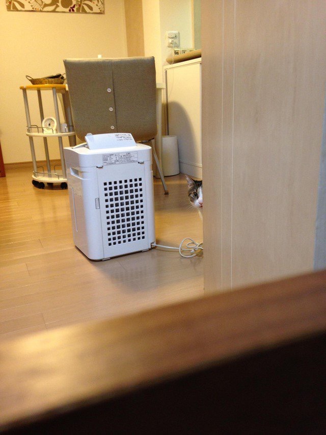 집사 감시 | 인스티즈