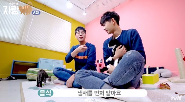 고양이랑 인사하는 법.jpg | 인스티즈