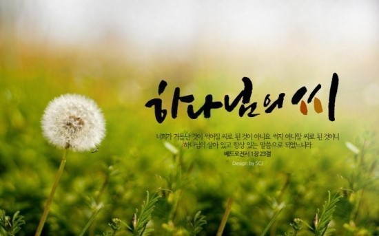 이호상 이미지