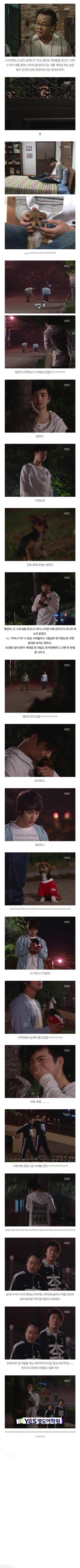 거침없이 하이킥 범민 강아지편.jpg | 인스티즈