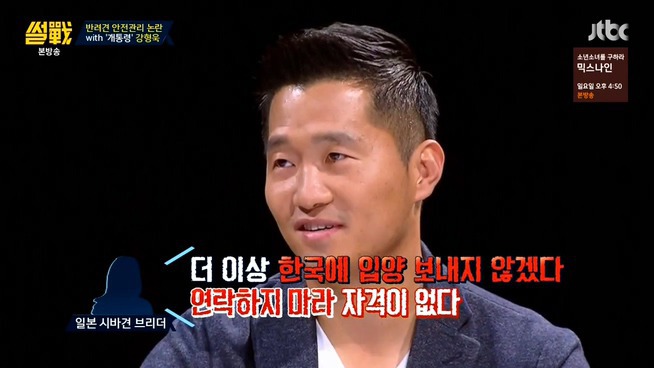 [썰전] 시바견 | 인스티즈