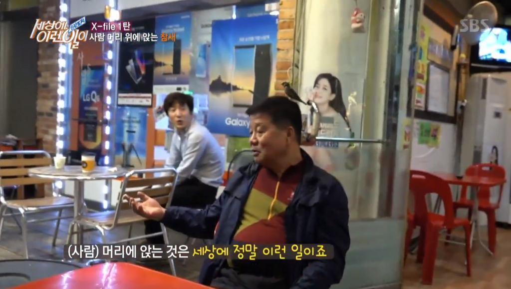 [세상에이런일이] 엄청 충격적이였던 오늘편 사람을 좋아하는 참새 새순이 이야기.jpg | 인스티즈