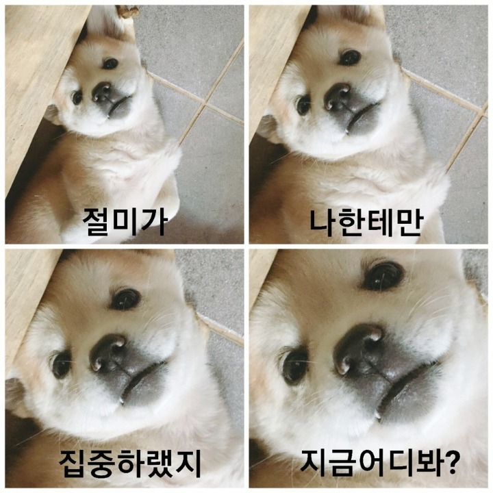 짱절미가 가장 잘 따르는 가족.jpg | 인스티즈