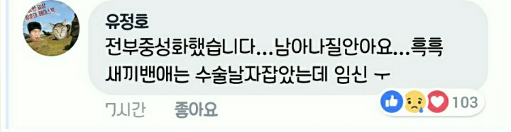 차라리 날 죽여...라는 제목으로 올라온 글(feat 집사).jpg | 인스티즈