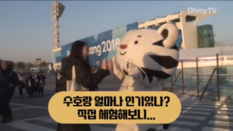 수호랑 인기를 직접 겪어본 오마이뉴스기자 | 인스티즈