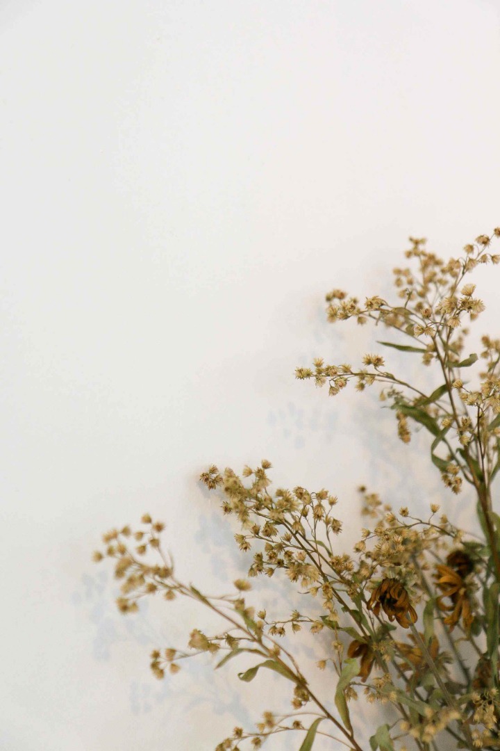 꽃 배경화면 | 인스티즈