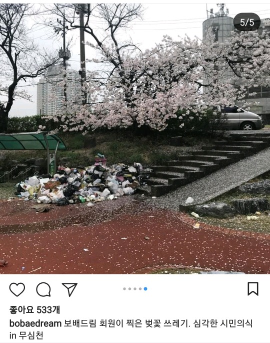 벚꽃축제 시민의식 근황.jpg | 인스티즈