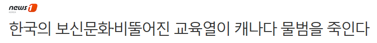 한국의 보신문화·비뚤어진 교육열이 캐나다 물범을 죽인다 | 인스티즈