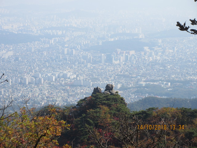 대동사 이미지