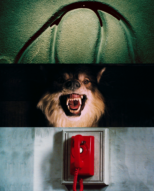 [영화] 캐빈 인 더 우즈 (The Cabin in the Woods, 2012) (놀람주의) | 인스티즈