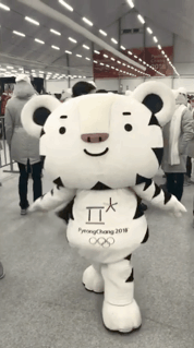 수호랑 인기를 직접 겪어본 오마이뉴스기자 | 인스티즈